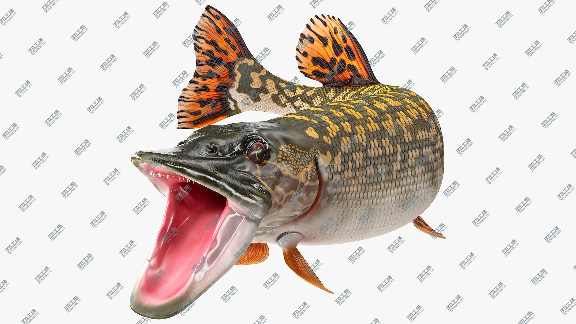 images/goods_img/2021040235/Pike Fish Rigged 3D/1.jpg